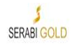 logo_sarabi_gold